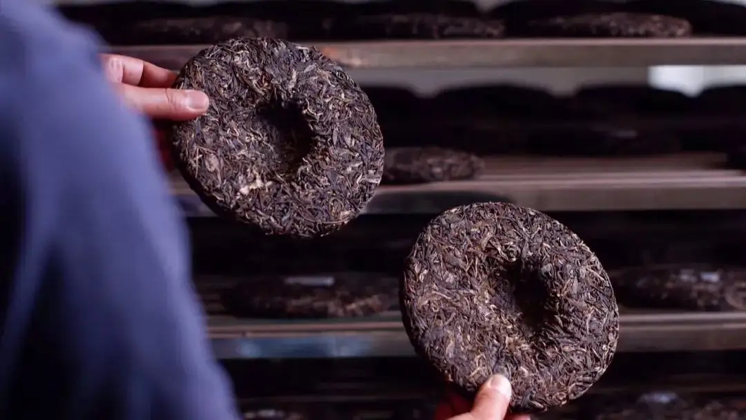 喝茶人都關心的普洱熟茶4大超核心問題！