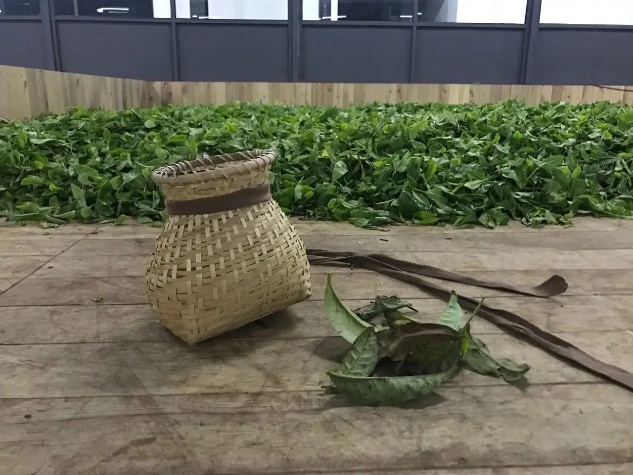 普洱茶，如果不談山頭，我們談什么？