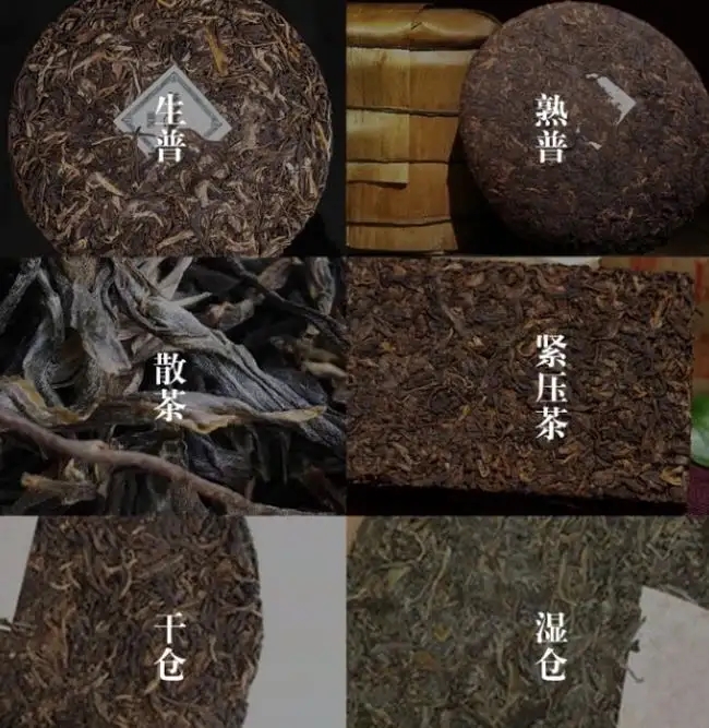 普洱茶不是越陳越香嗎？怎么也有最佳品飲期？