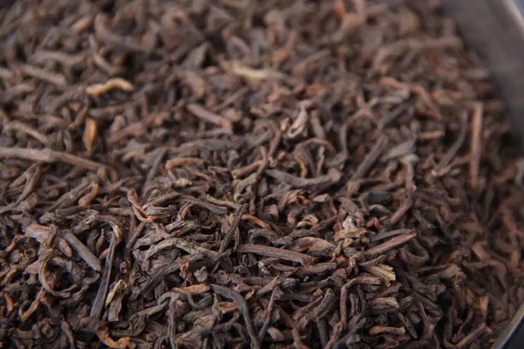 品懂熟茶丨新制的熟茶怎么品評(píng)？