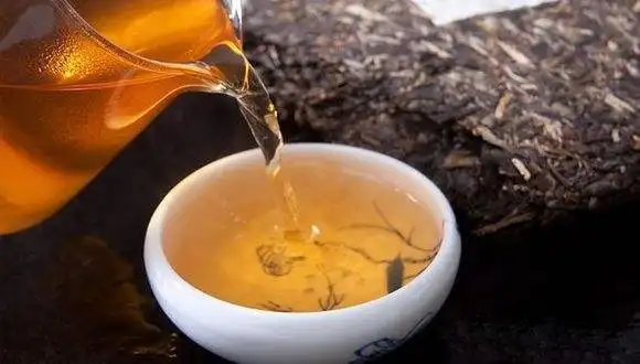 為什么越來越多人選擇普洱茶！