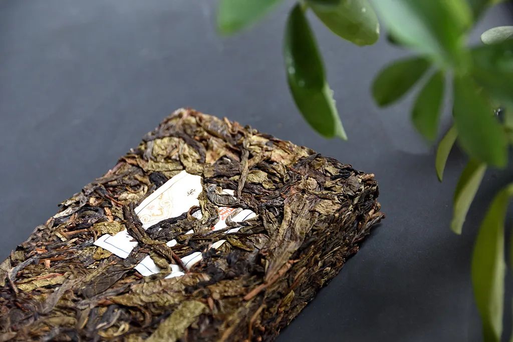 普洱茶古樹黃片，性價(jià)比超高的口糧茶，有骨有肉香甜順