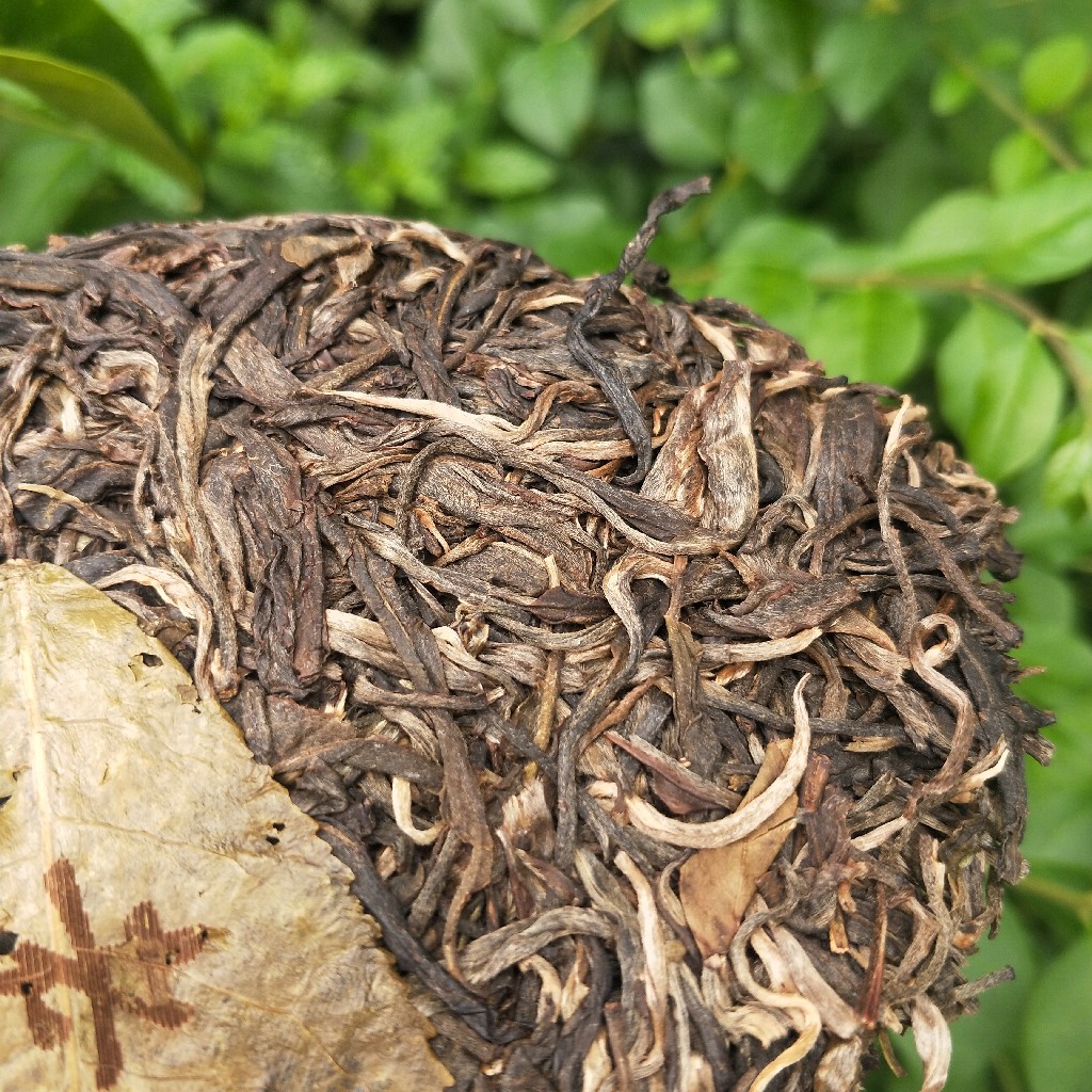 2023年班盆古樹(shù)春茶多少錢一公斤？