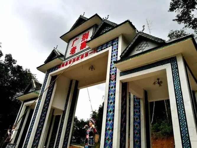 2023年廣別老寨古樹春茶品質如何？