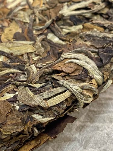 2023年拔瑪老寨古樹春茶特點(diǎn)是什么？