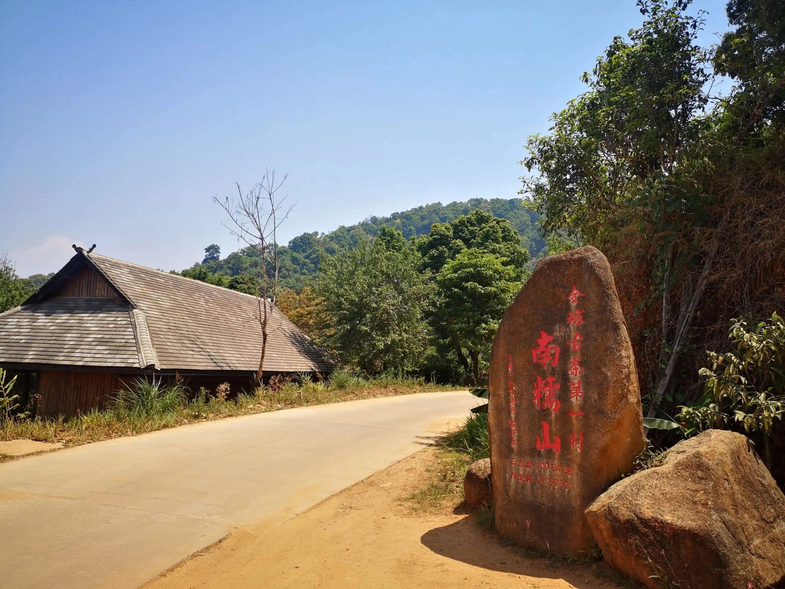 2023年南糯山古樹春茶品質(zhì)怎么樣？