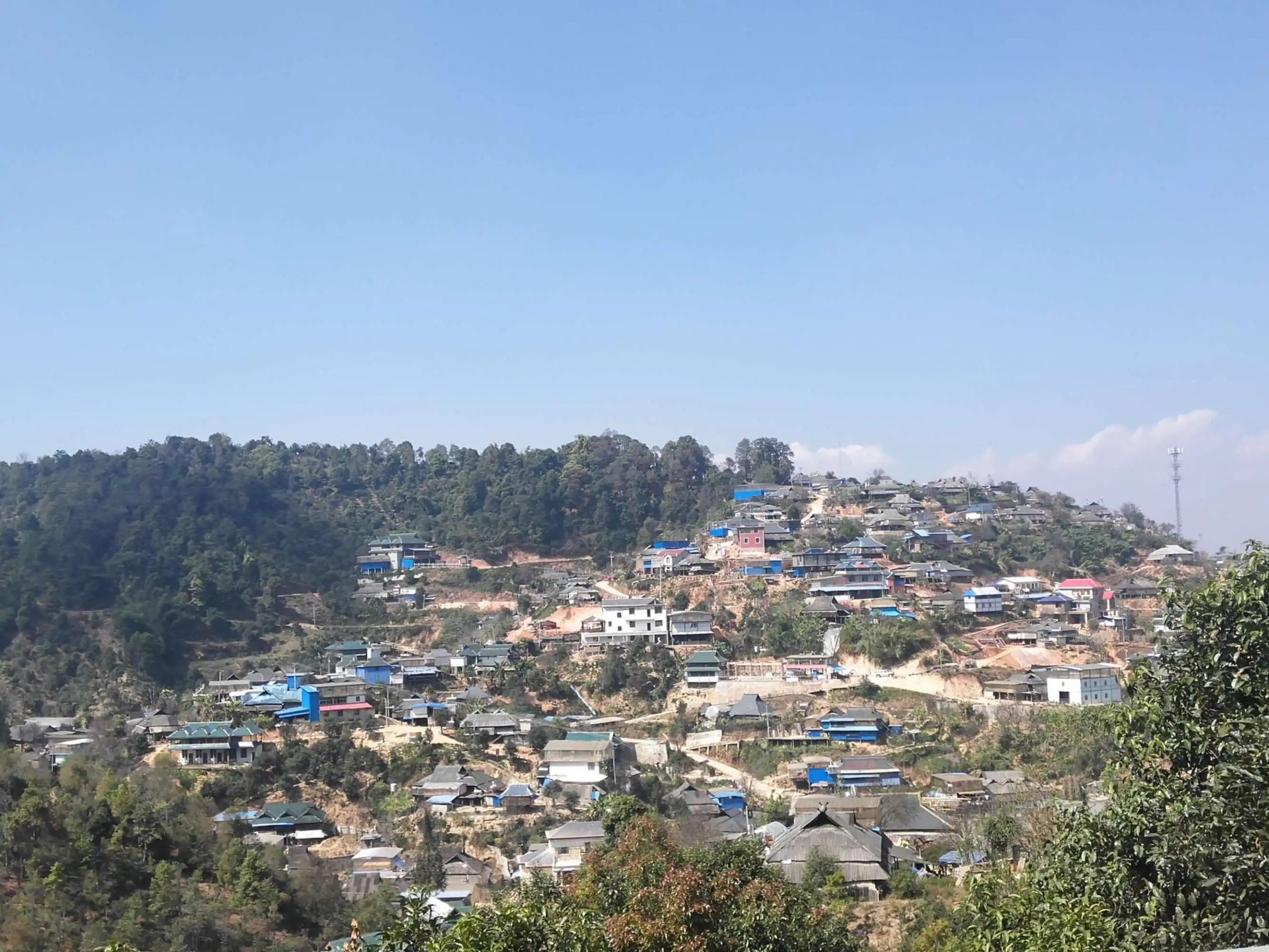 2023年帕沙古樹春茶品質(zhì)如何？