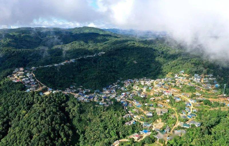 2023年帕沙古樹春茶口感怎么樣？