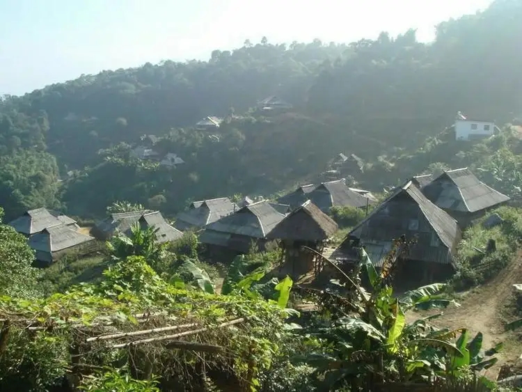 2023年帕沙古樹(shù)春茶多少一公斤？