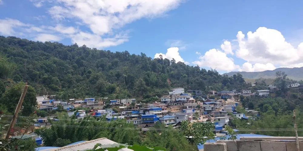 2023年那卡古樹春茶品質(zhì)如何？