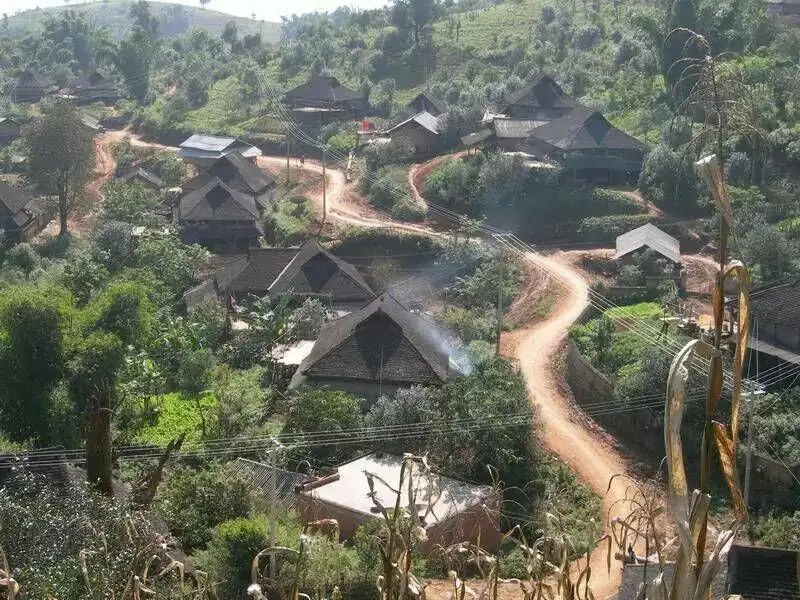 2023年保塘老寨古樹春茶品質(zhì)如何？