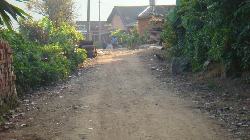 2023年保塘老寨古樹(shù)春茶價(jià)格是多少？