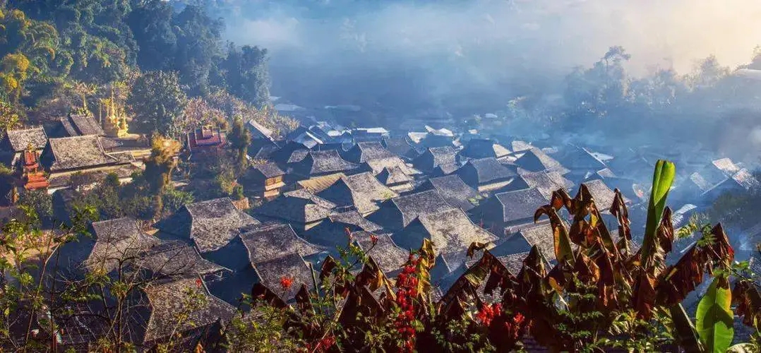 2023年景邁古樹(shù)春茶品質(zhì)如何？