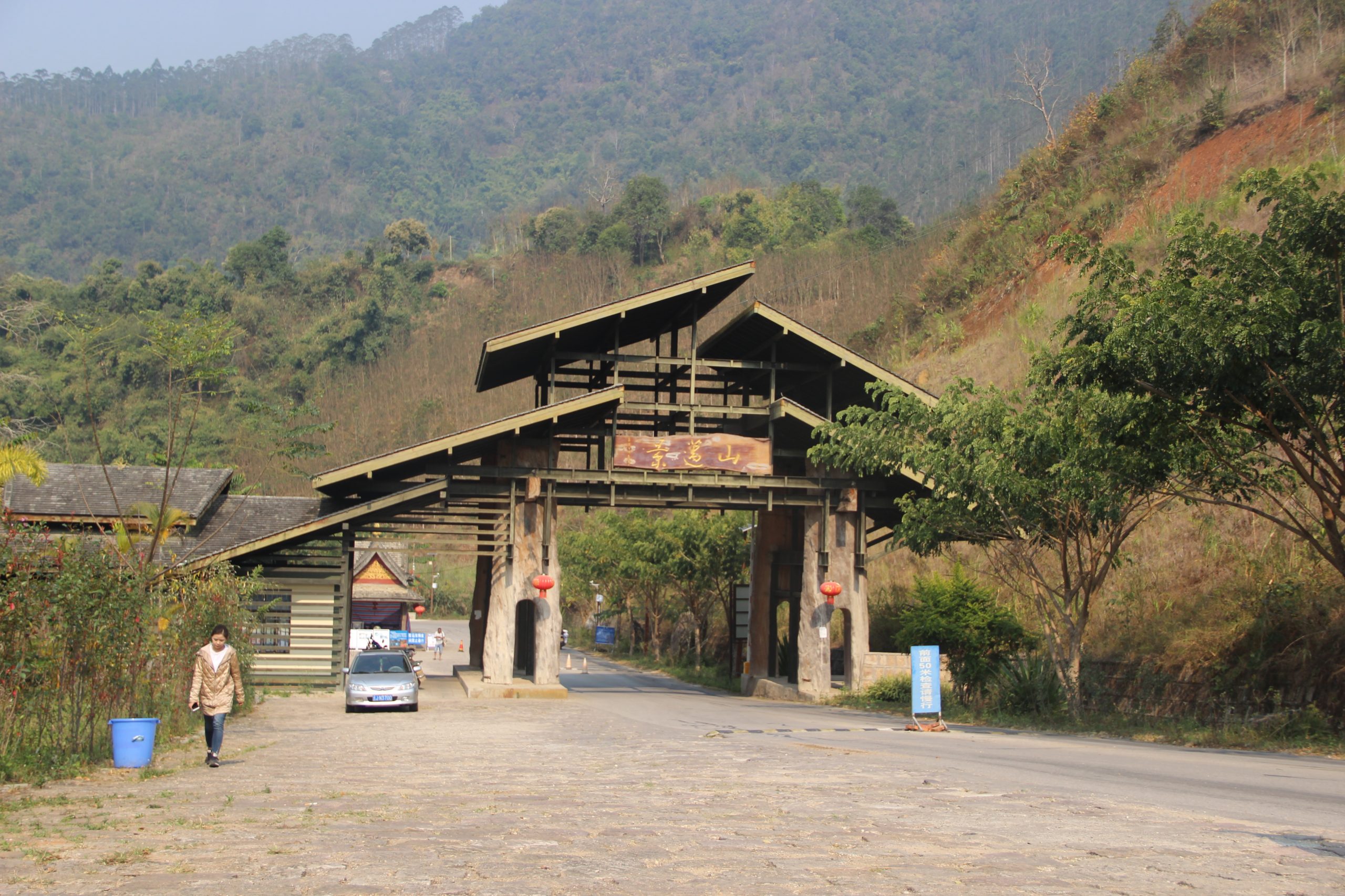 2023年景邁古樹(shù)春茶口感如何？