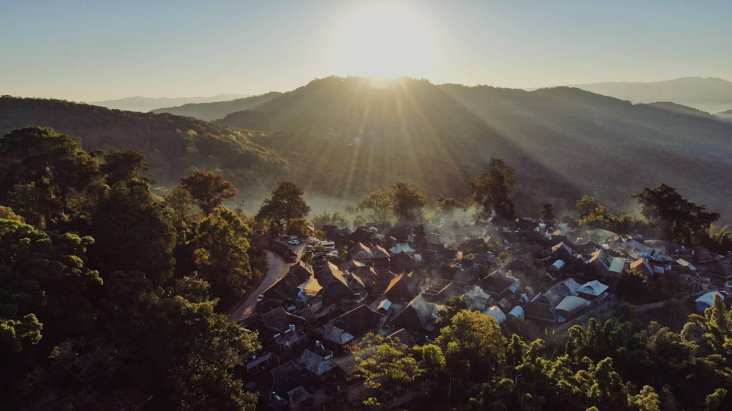 2023年景邁古樹(shù)春茶多少錢(qián)一公斤？