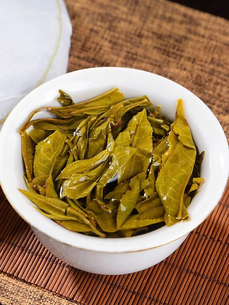 2023白鶯山古樹春茶特點是什么？