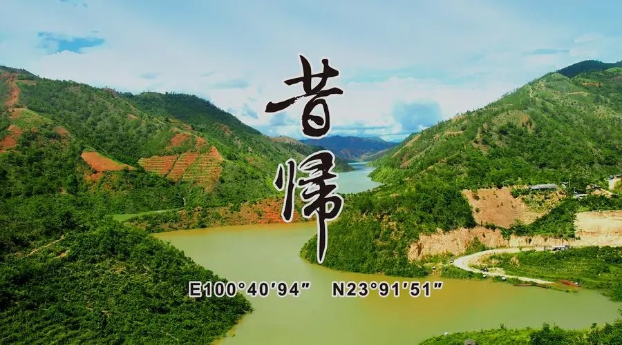 2023年昔歸古樹春茶品質(zhì)如何？