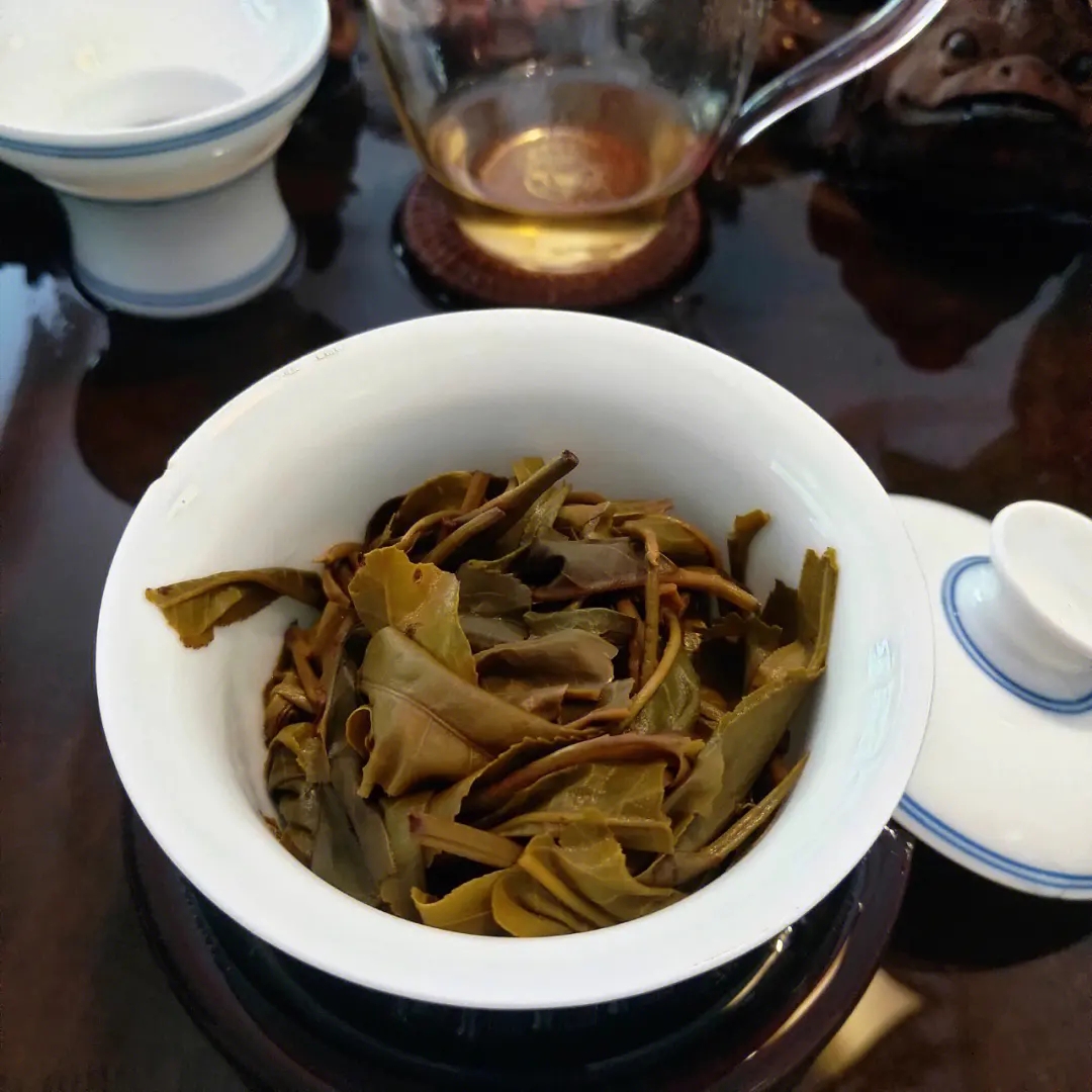 2023年昔歸古樹春茶口感如何？