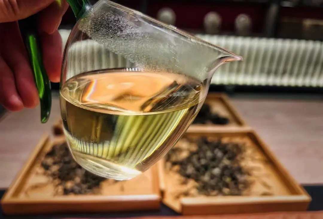 2023年鳳凰窩古樹(shù)春茶價(jià)格是多少？