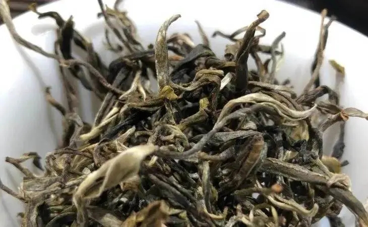 2023年鳳凰窩古樹(shù)春茶多少一公斤？