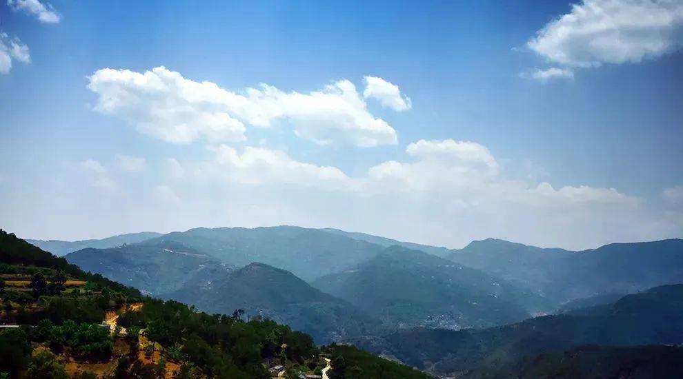 2023年勐庫大忠山古樹春茶價(jià)格是多少？