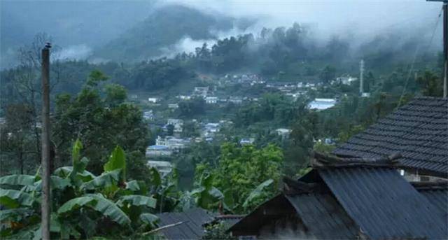 2023年勐庫豆腐寨古樹春茶口感怎么樣？