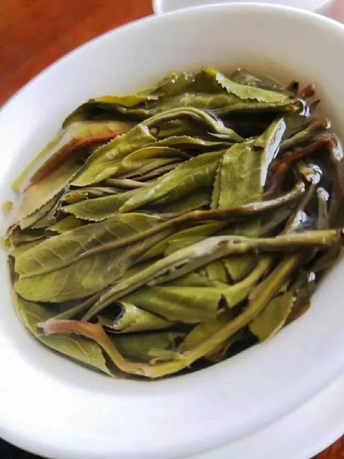 2023年鍋底塘古樹春茶特點是什么？