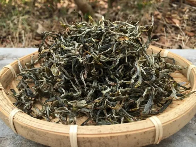 2023年易武張家灣古樹春茶品質(zhì)如何？